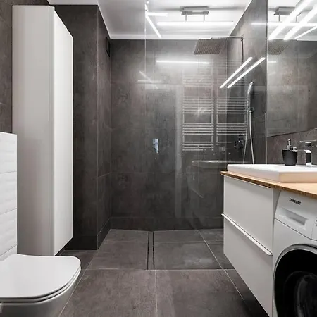 公寓 Roomsy Rzeczypospolitej 格但斯克